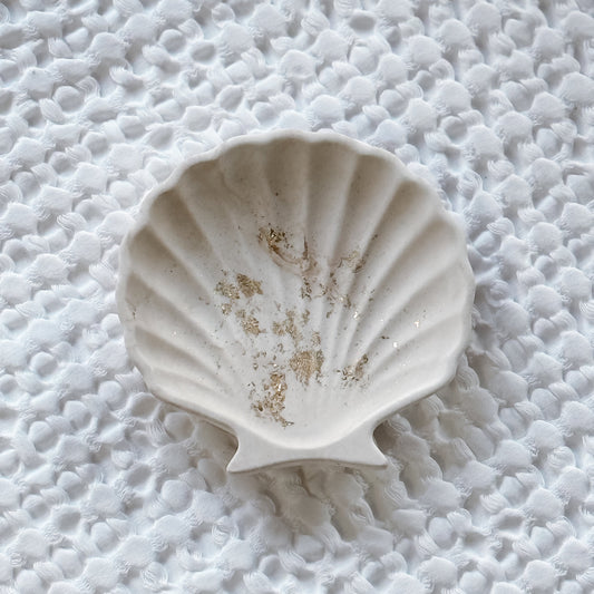 Decorative Sea Shell Tray